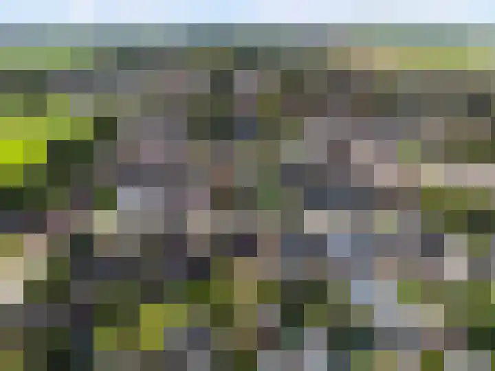 Posthoorn 6 Barger-Compascuum thumbnail 63