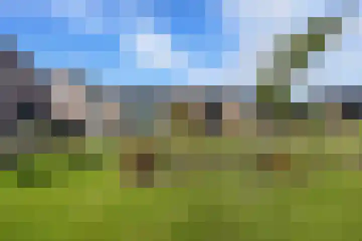 Posthoorn 6 Barger-Compascuum thumbnail 64