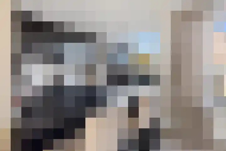 Posthoorn 72 Barger-Compascuum thumbnail 14