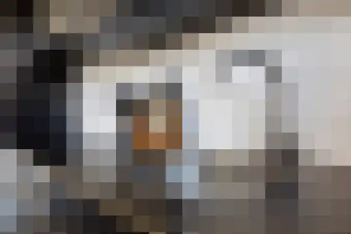 Posthoorn 72 Barger-Compascuum thumbnail 16