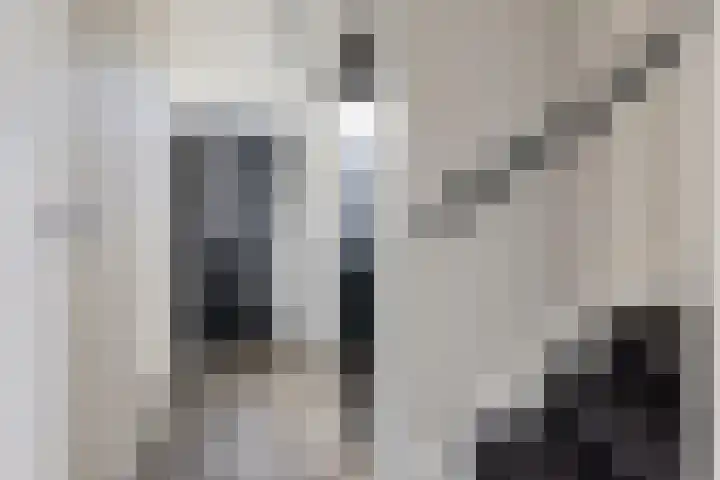 Posthoorn 72 Barger-Compascuum thumbnail 19