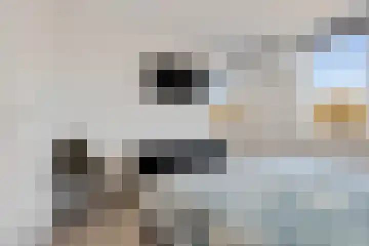 Posthoorn 72 Barger-Compascuum thumbnail 22