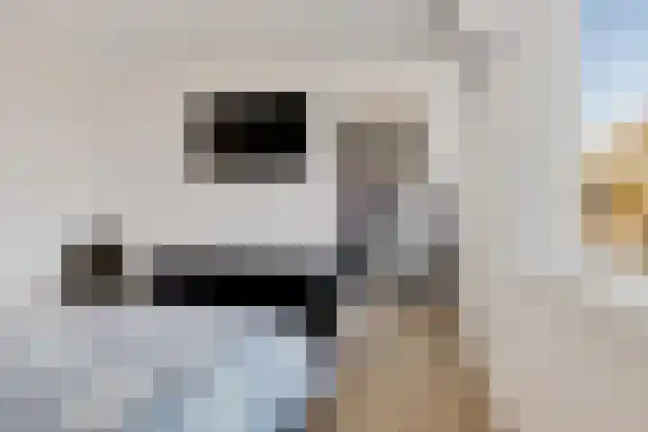 Posthoorn 72 Barger-Compascuum thumbnail 23