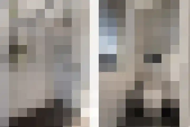 Posthoorn 72 Barger-Compascuum thumbnail 29
