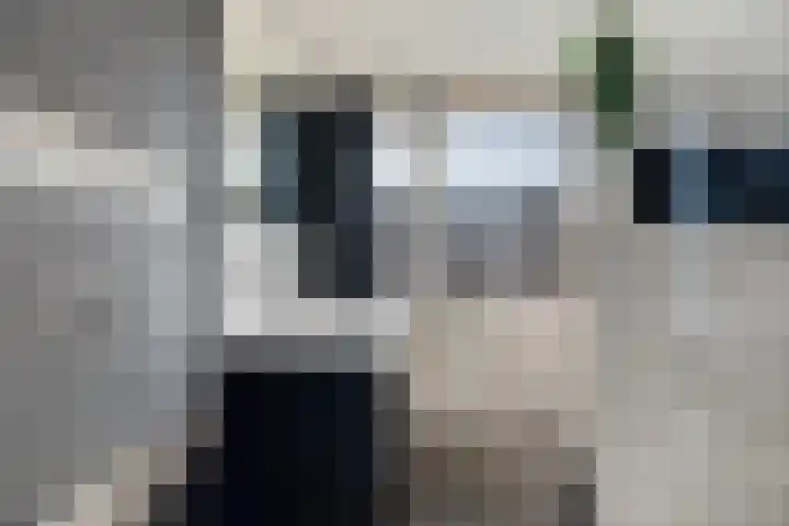 Posthoorn 72 Barger-Compascuum thumbnail 4