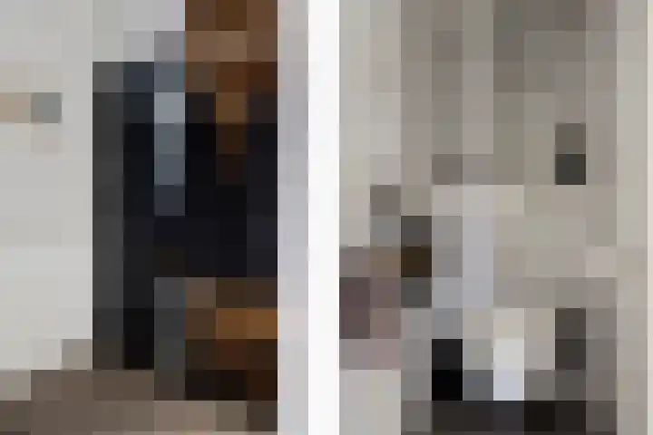 Posthoorn 72 Barger-Compascuum thumbnail 6