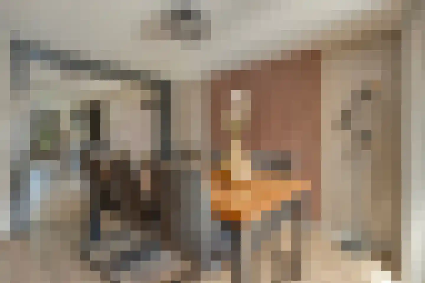 Posthoorn 8 Barger-Compascuum thumbnail 13