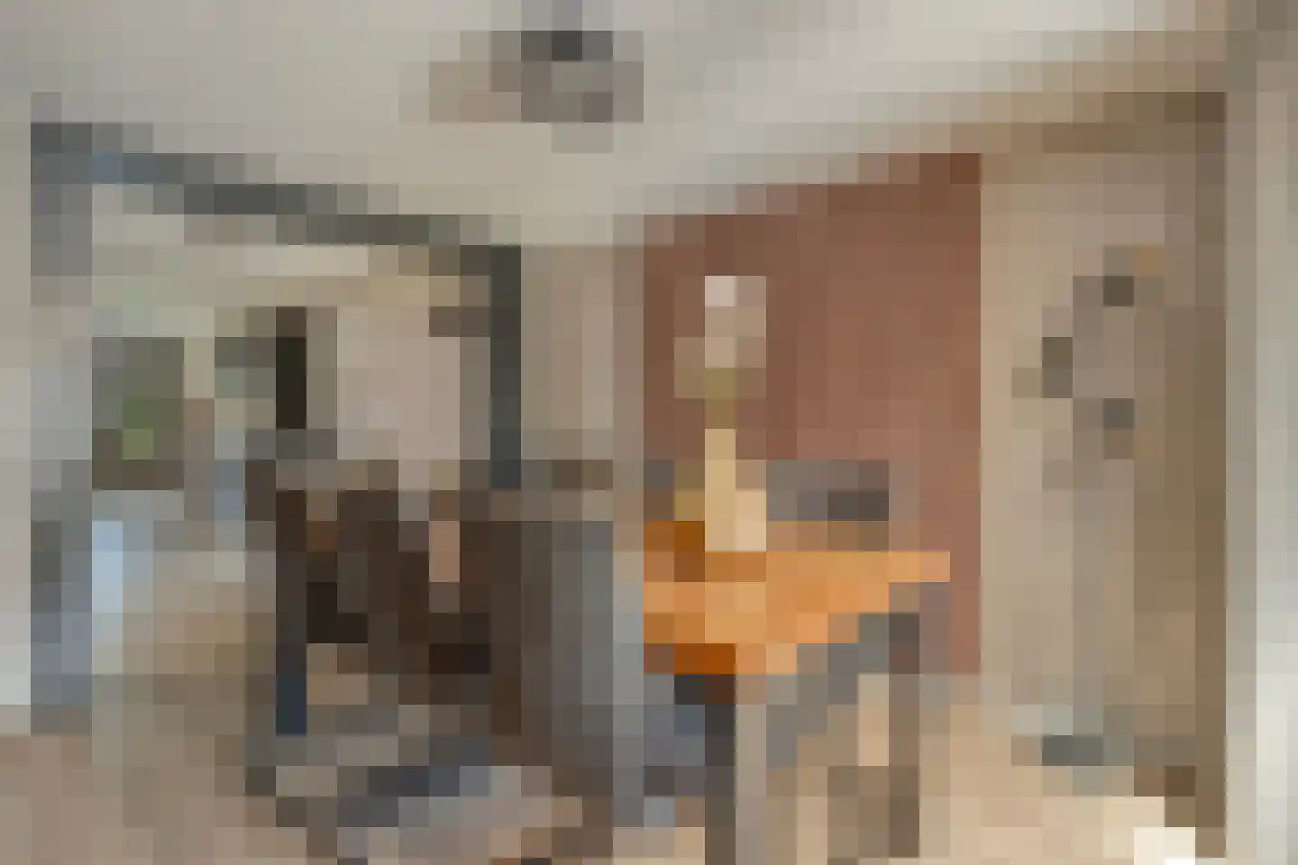 Posthoorn 8 Barger-Compascuum thumbnail 13