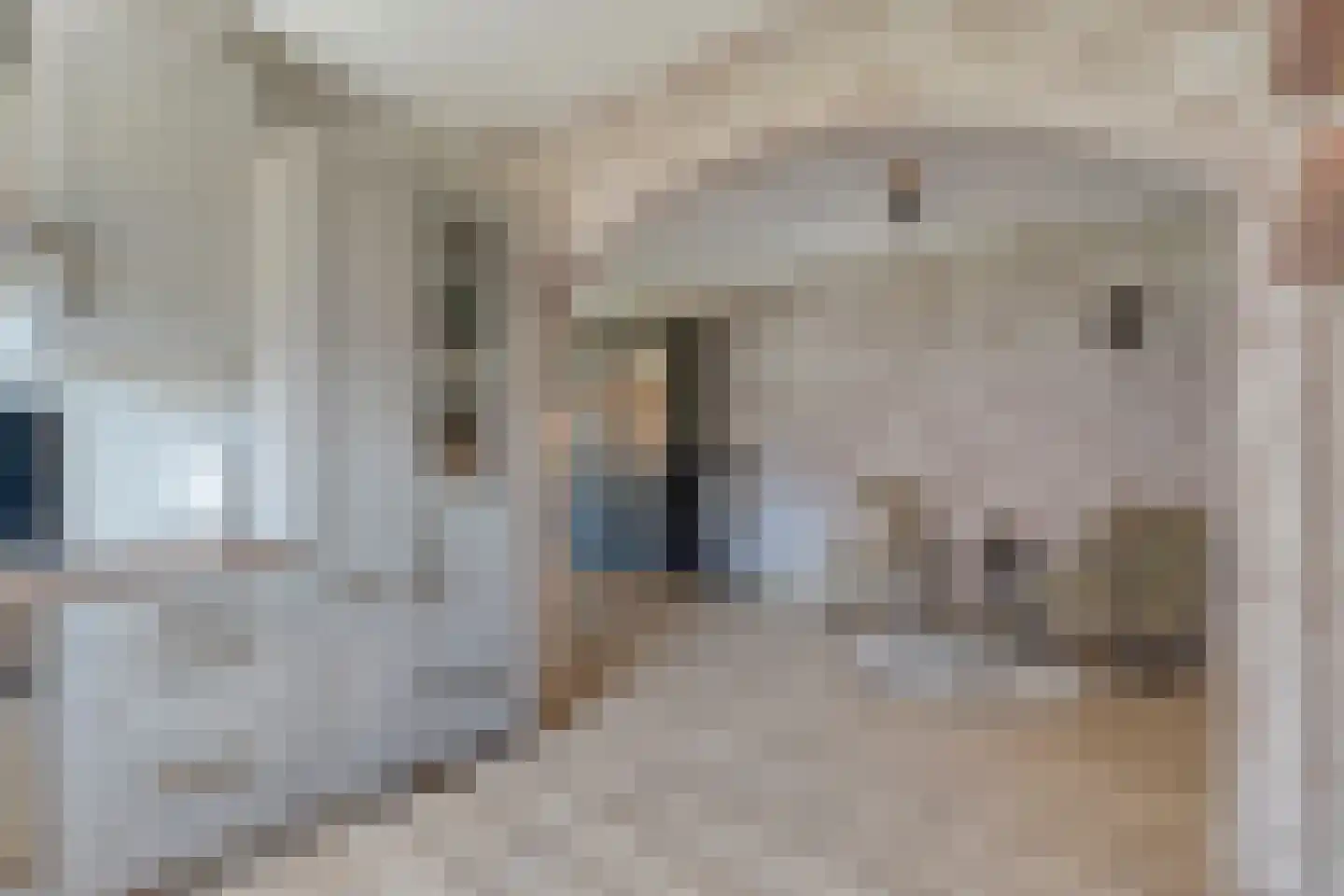 Posthoorn 8 Barger-Compascuum thumbnail 14
