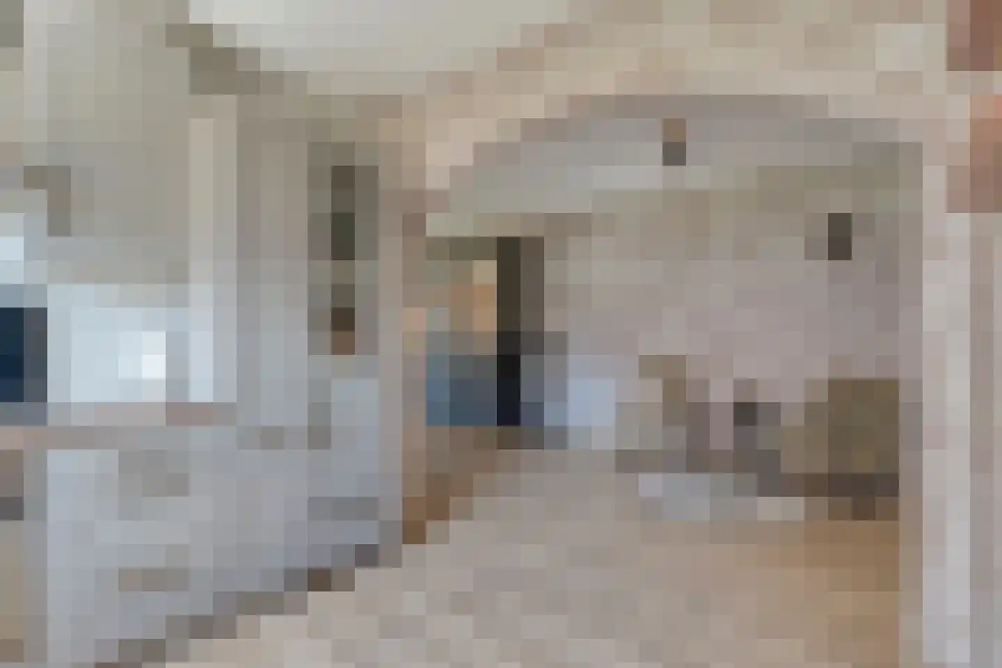 Posthoorn 8 Barger-Compascuum thumbnail 14