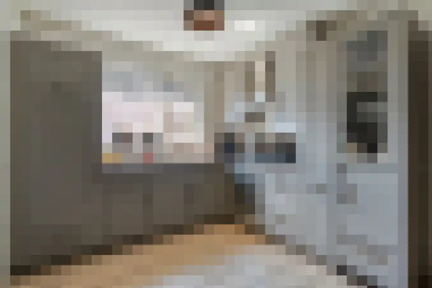 Posthoorn 8 Barger-Compascuum thumbnail 15