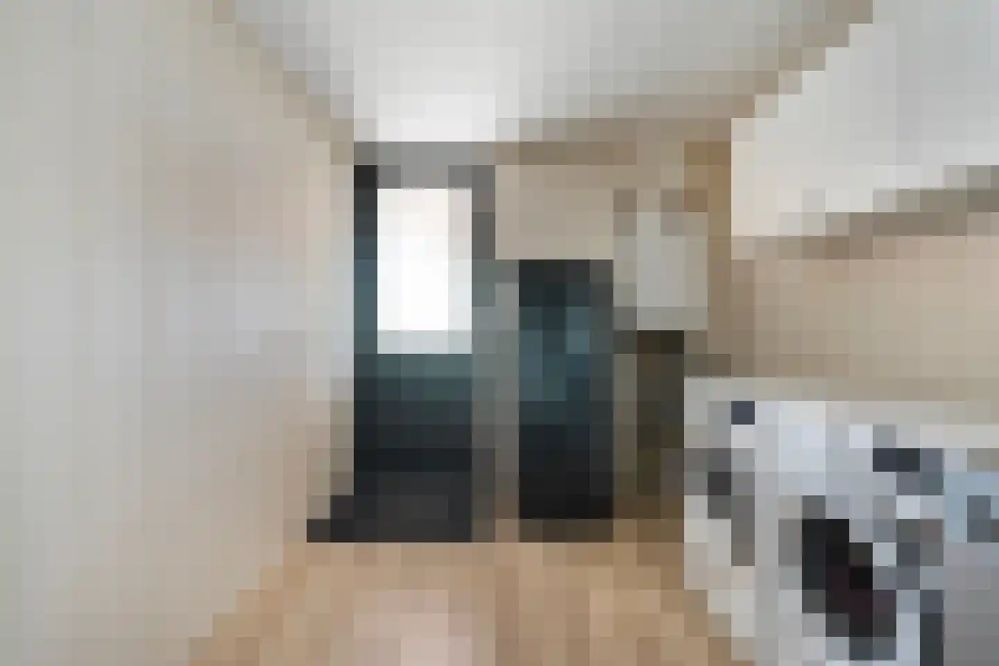 Posthoorn 8 Barger-Compascuum thumbnail 17
