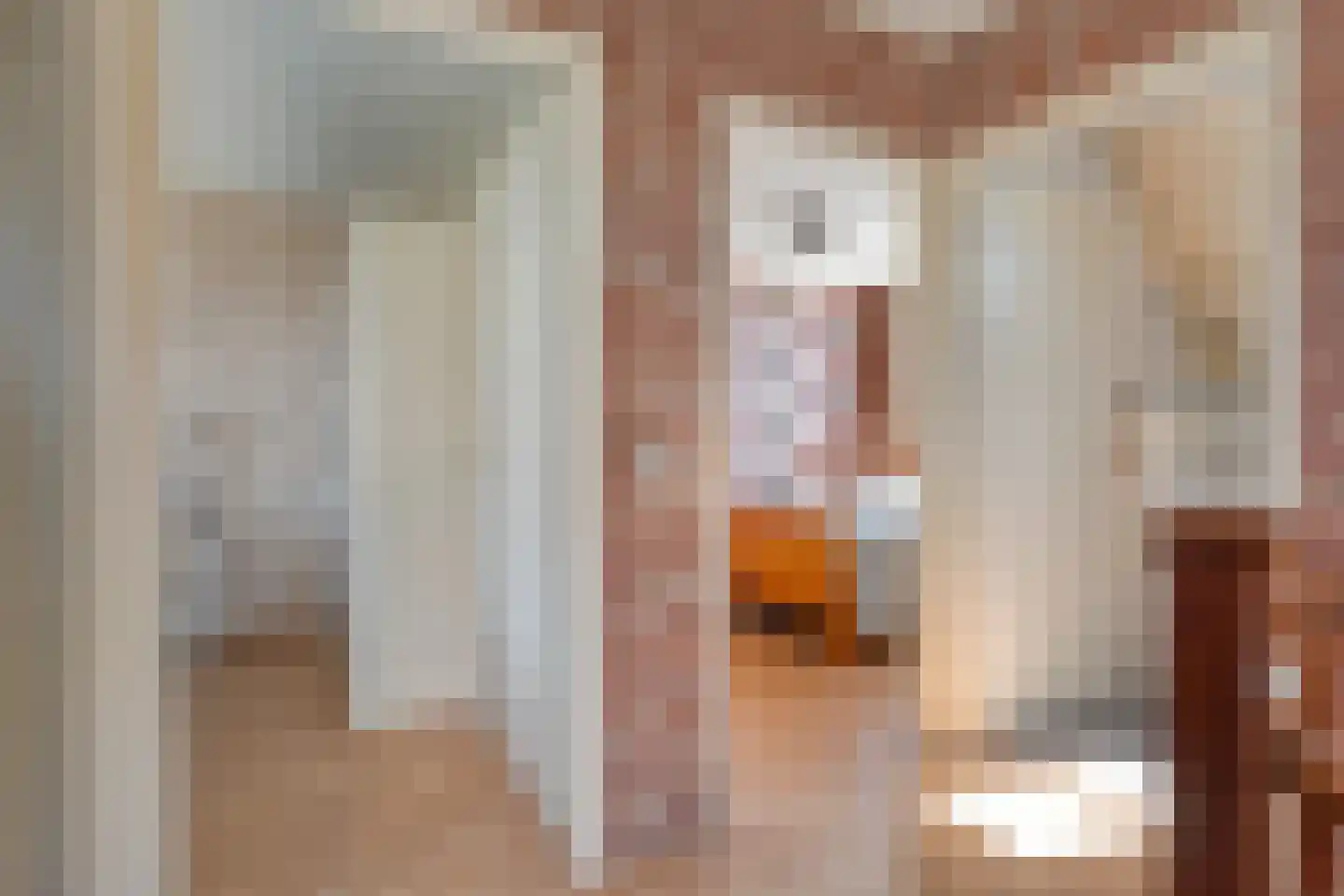 Posthoorn 8 Barger-Compascuum thumbnail 20