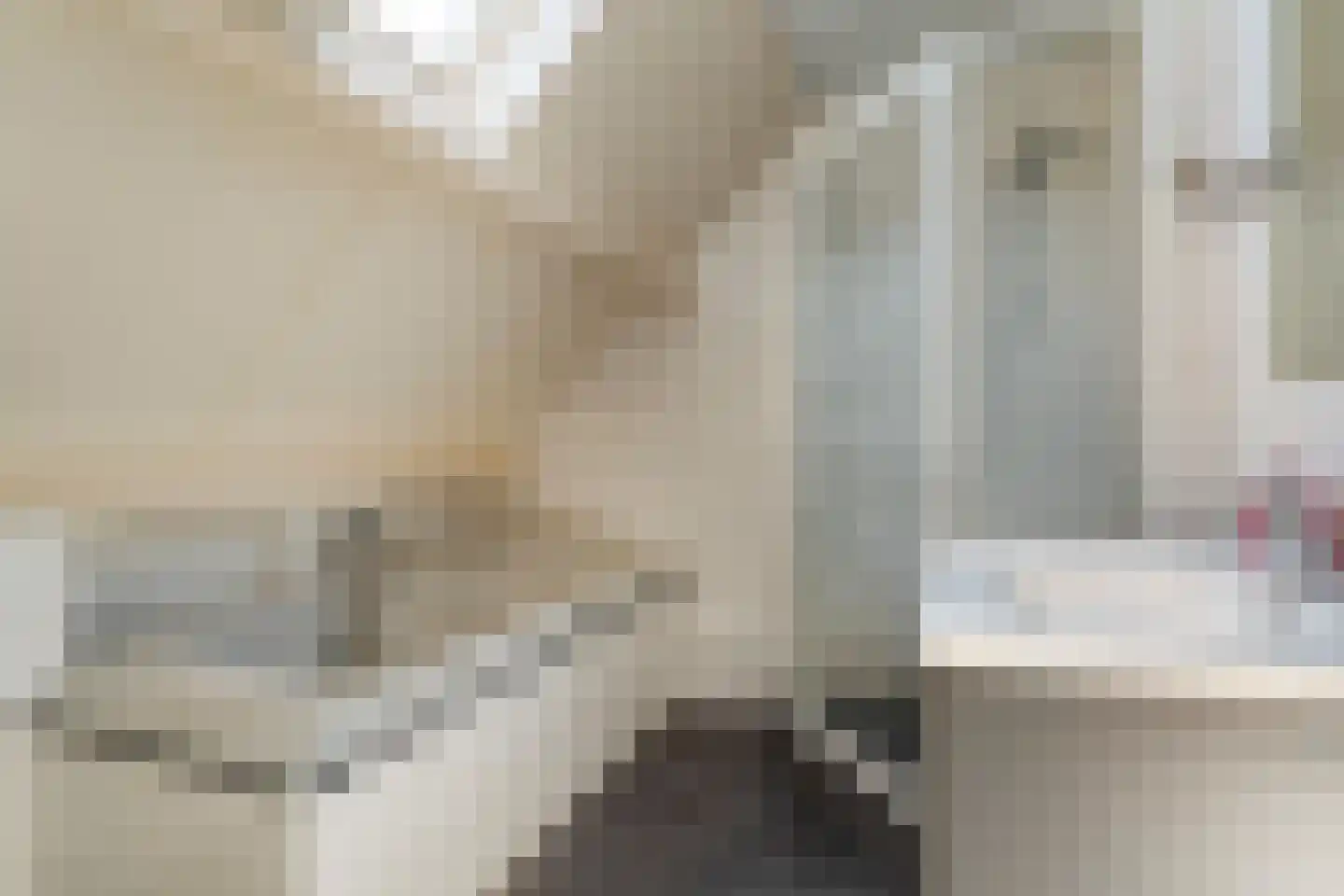 Posthoorn 8 Barger-Compascuum thumbnail 24