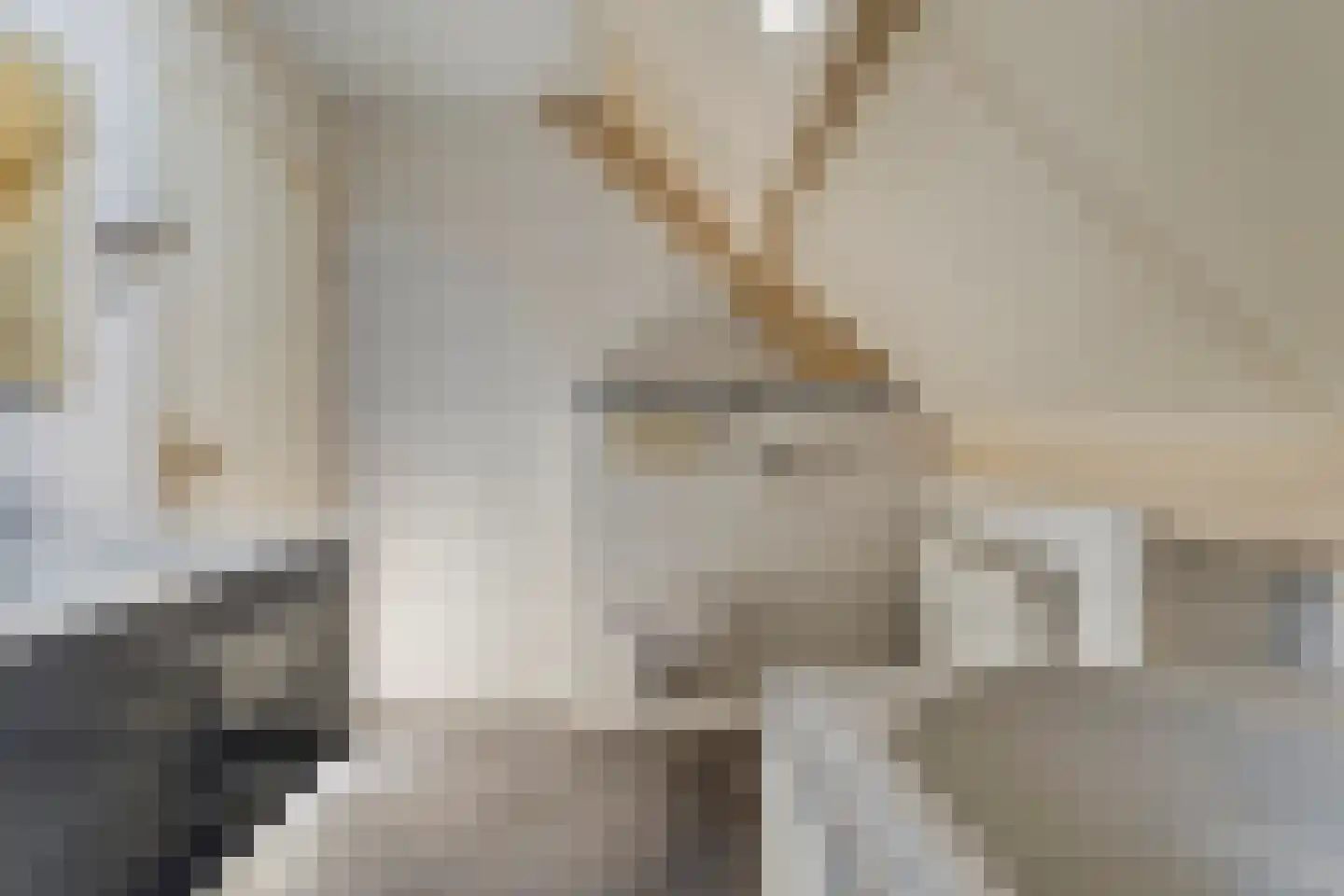 Posthoorn 8 Barger-Compascuum thumbnail 25
