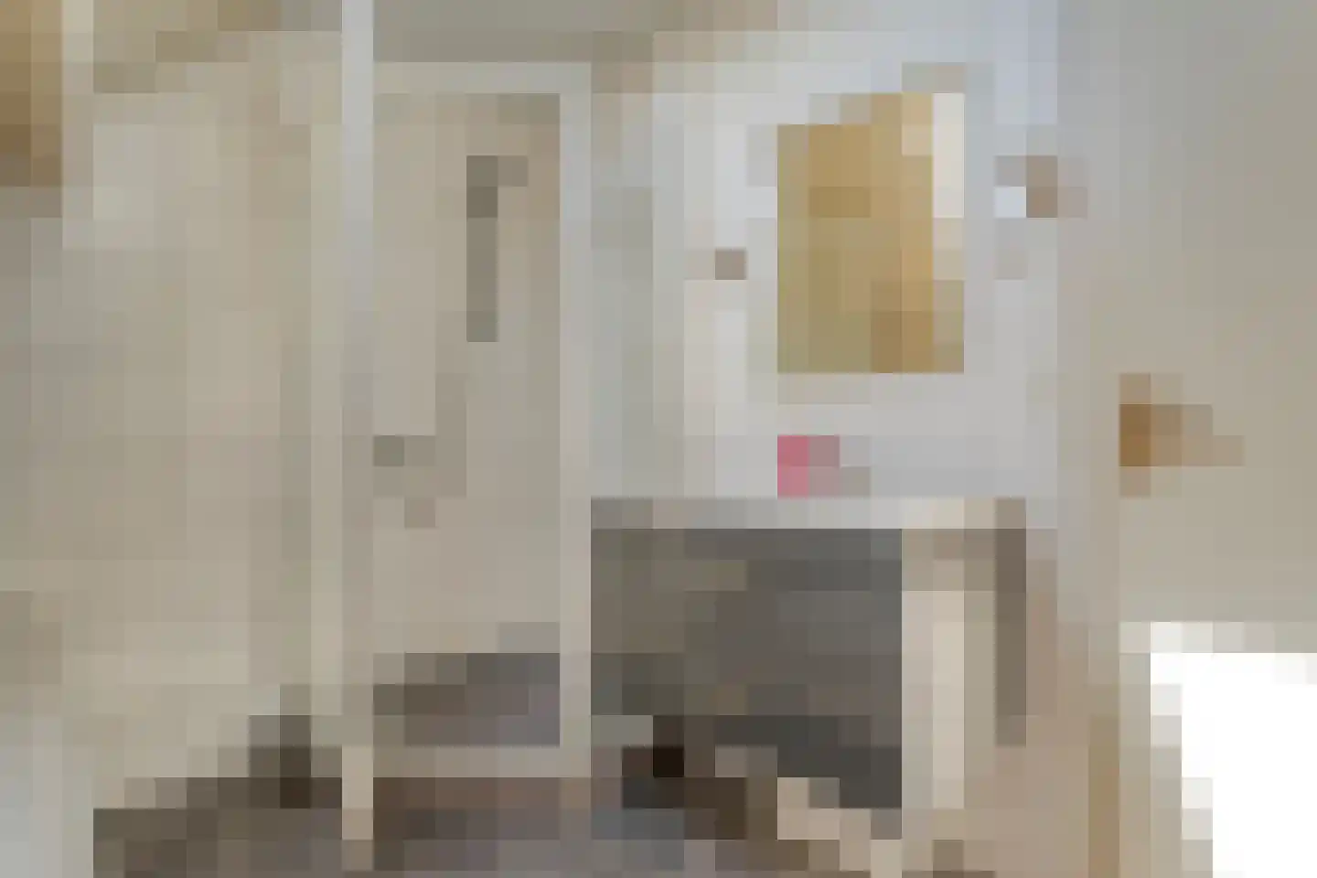 Posthoorn 8 Barger-Compascuum thumbnail 26