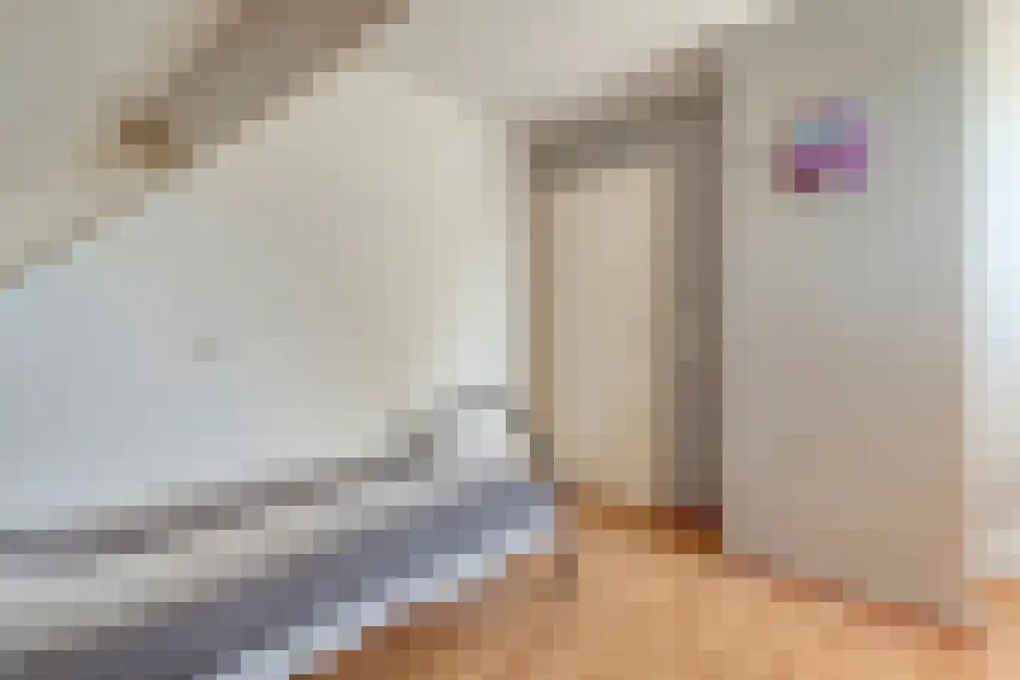 Posthoorn 8 Barger-Compascuum thumbnail 30