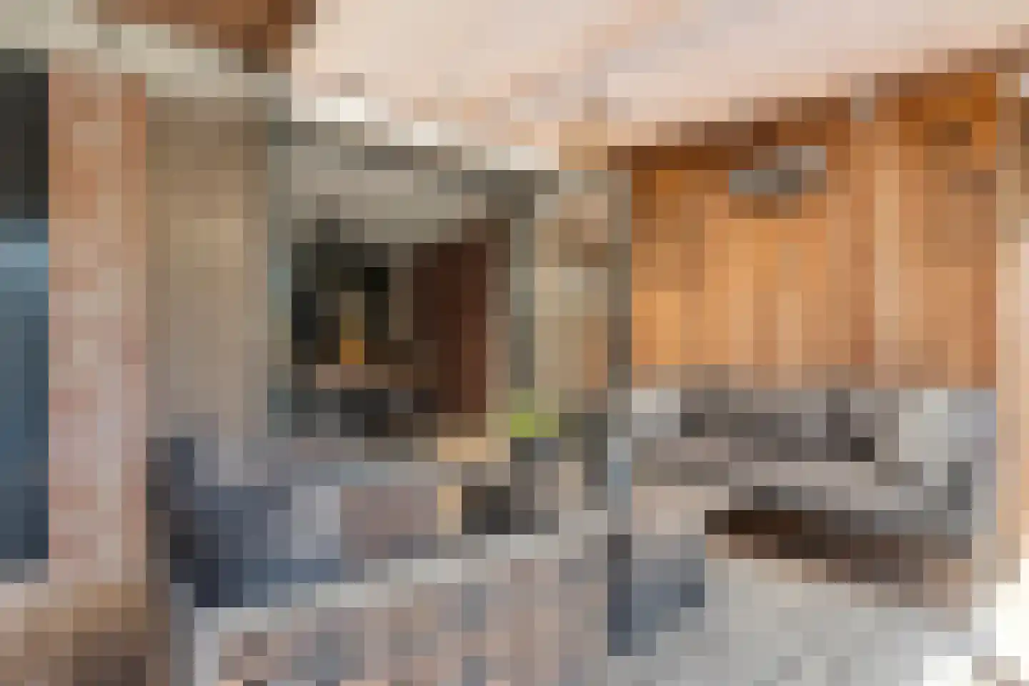 Posthoorn 8 Barger-Compascuum thumbnail 32