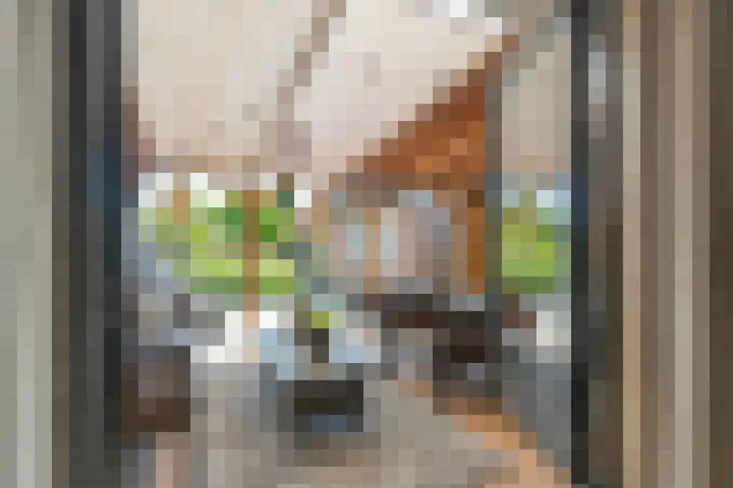 Posthoorn 8 Barger-Compascuum thumbnail 33