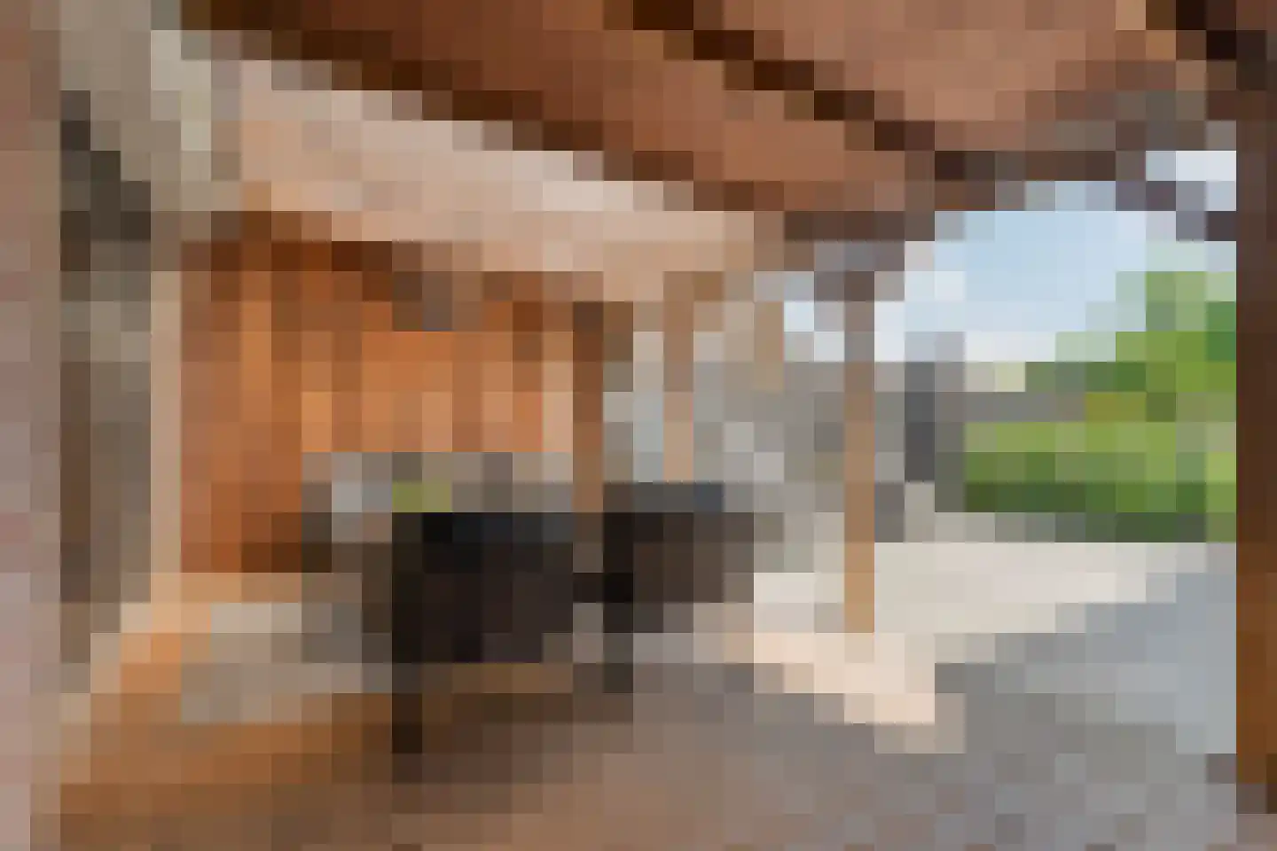 Posthoorn 8 Barger-Compascuum thumbnail 34