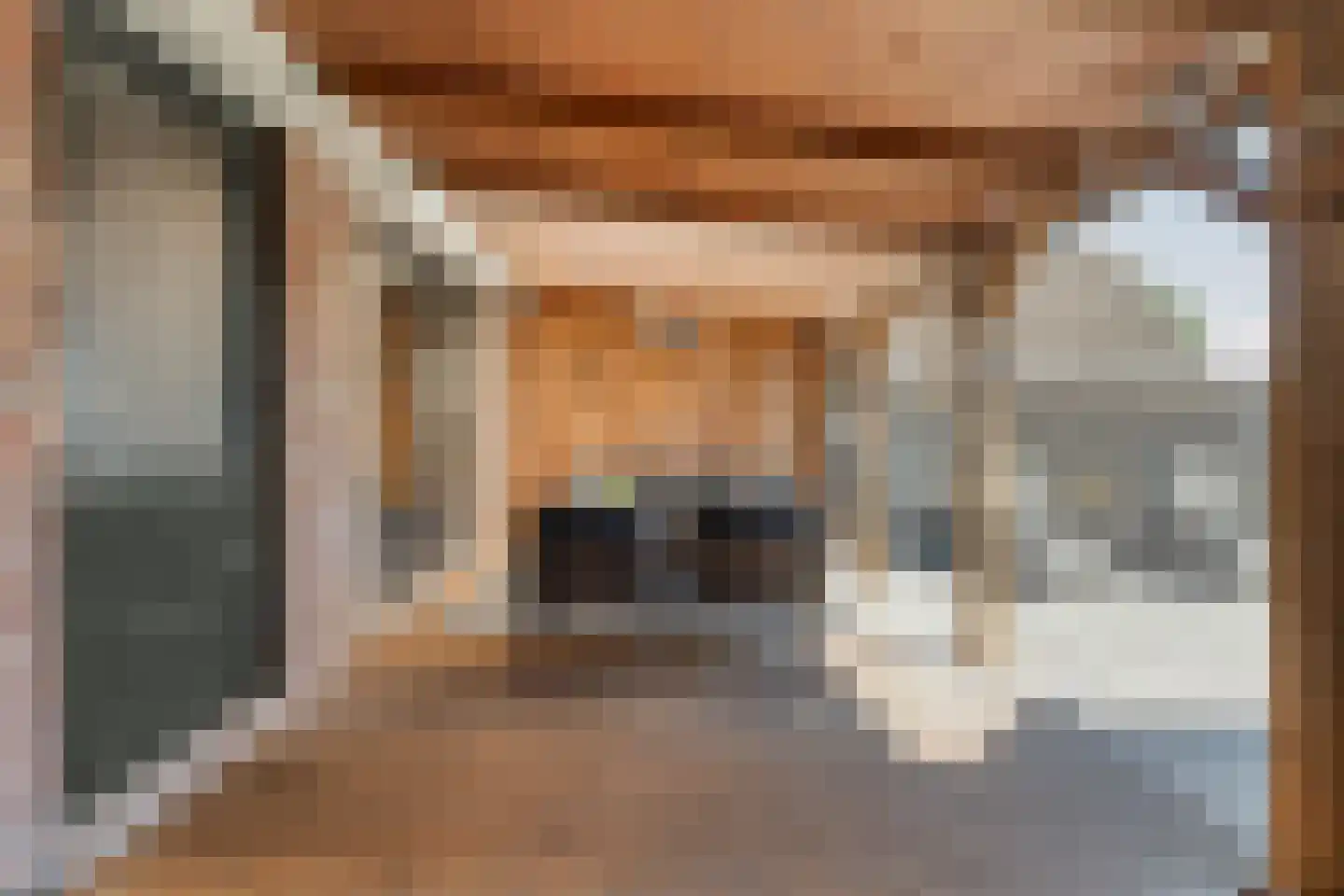 Posthoorn 8 Barger-Compascuum thumbnail 36