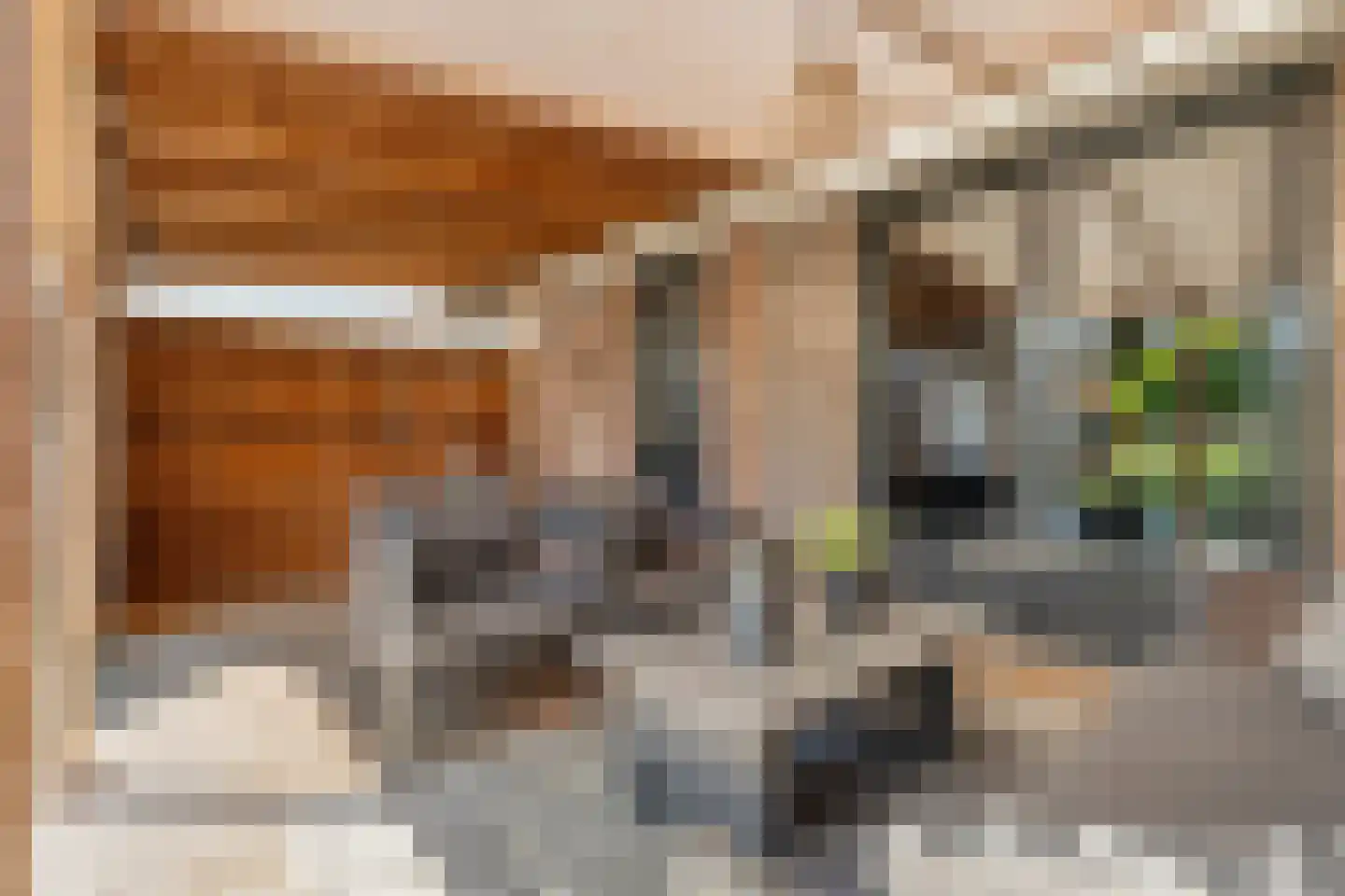 Posthoorn 8 Barger-Compascuum thumbnail 37