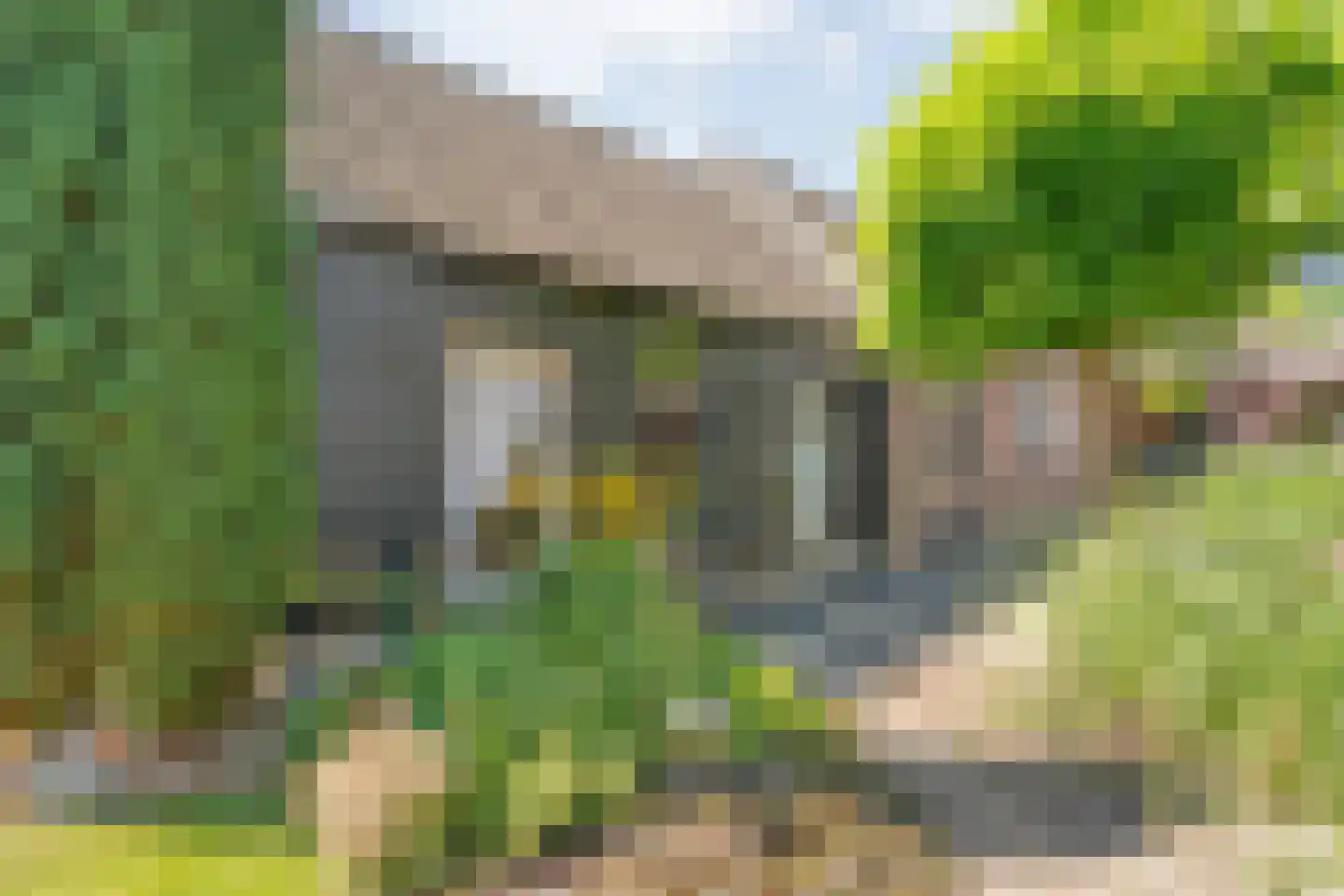 Posthoorn 8 Barger-Compascuum thumbnail 41