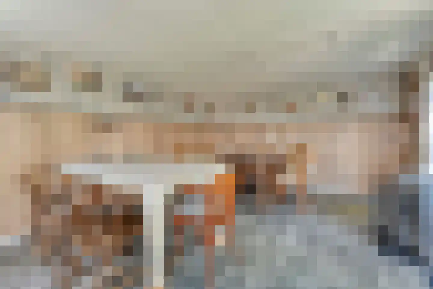 Posthoorn 8 Barger-Compascuum thumbnail 42
