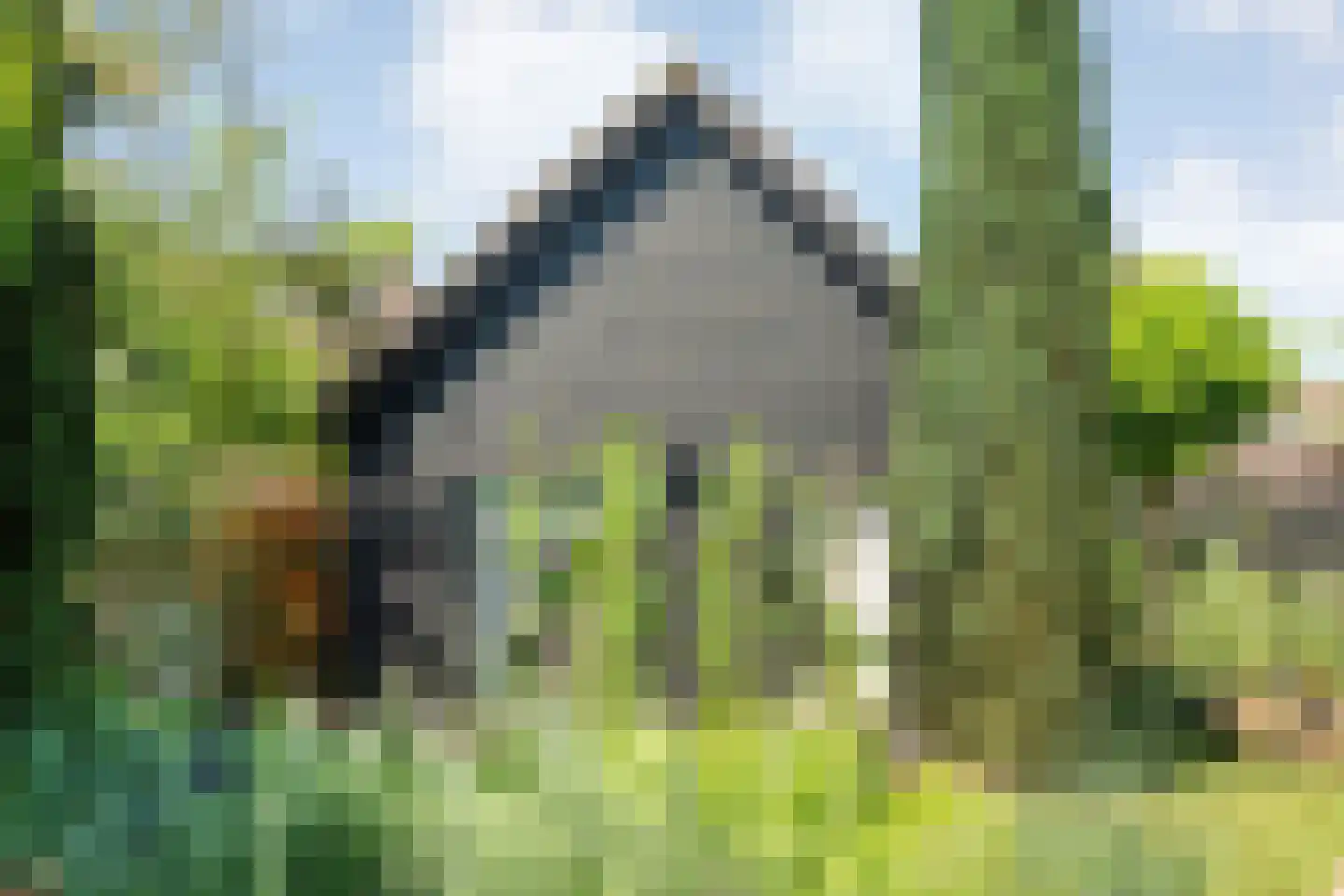Posthoorn 8 Barger-Compascuum thumbnail 45