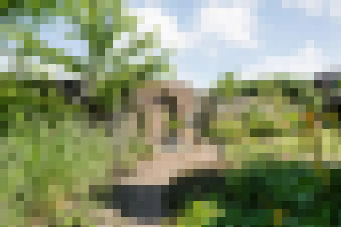 Posthoorn 8 Barger-Compascuum thumbnail 46