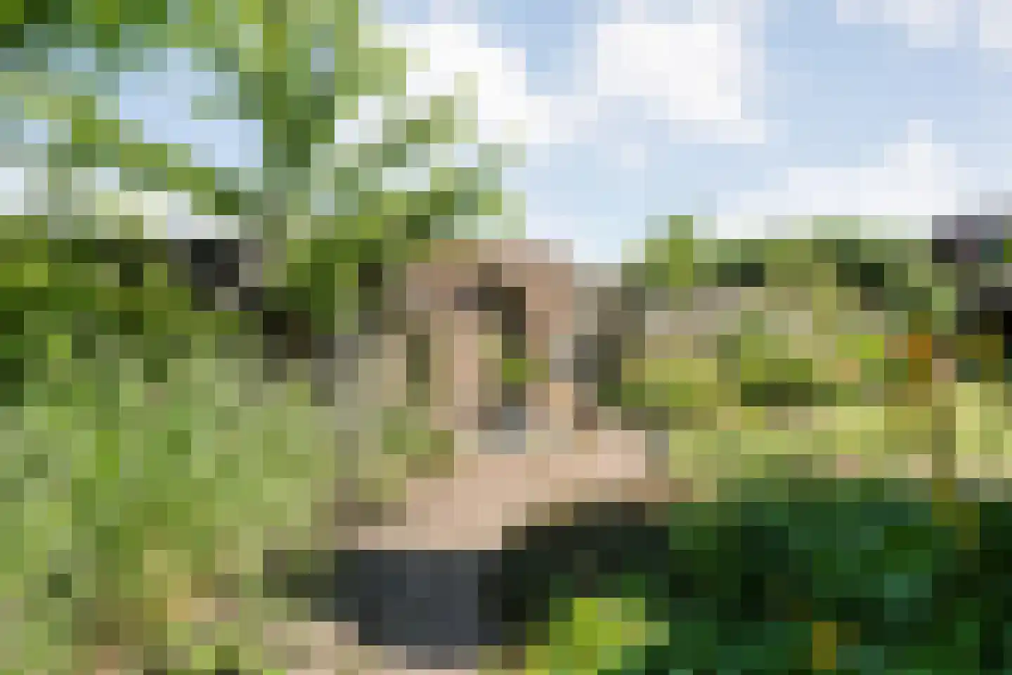Posthoorn 8 Barger-Compascuum thumbnail 46