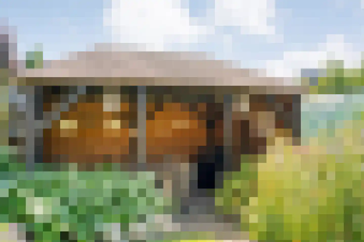 Posthoorn 8 Barger-Compascuum thumbnail 48