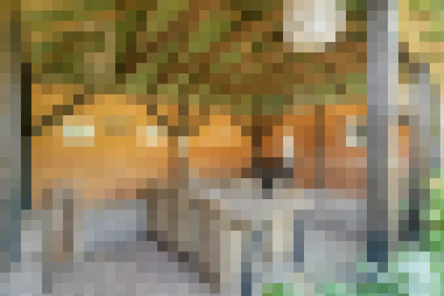 Posthoorn 8 Barger-Compascuum thumbnail 49