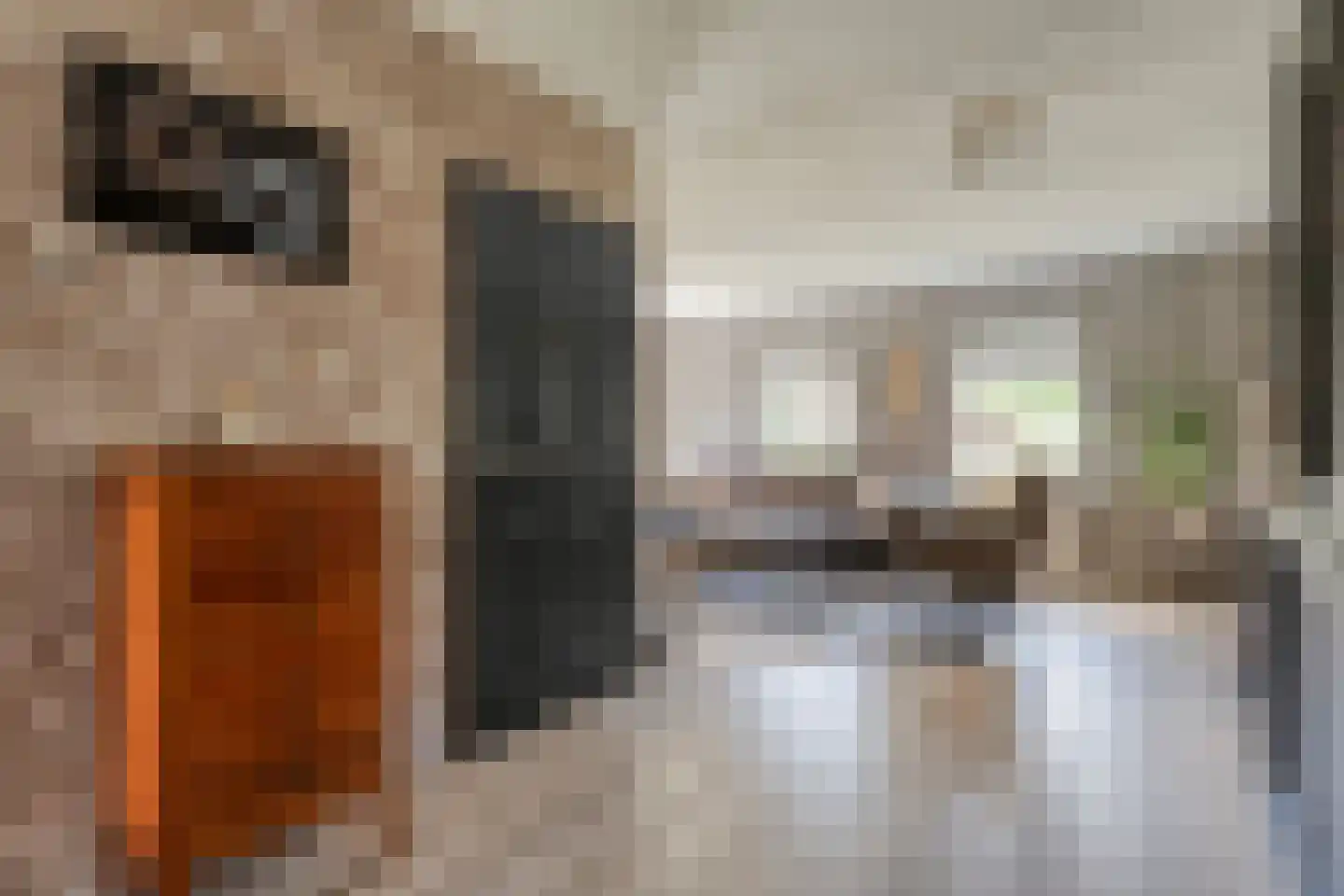 Posthoorn 8 Barger-Compascuum thumbnail 5