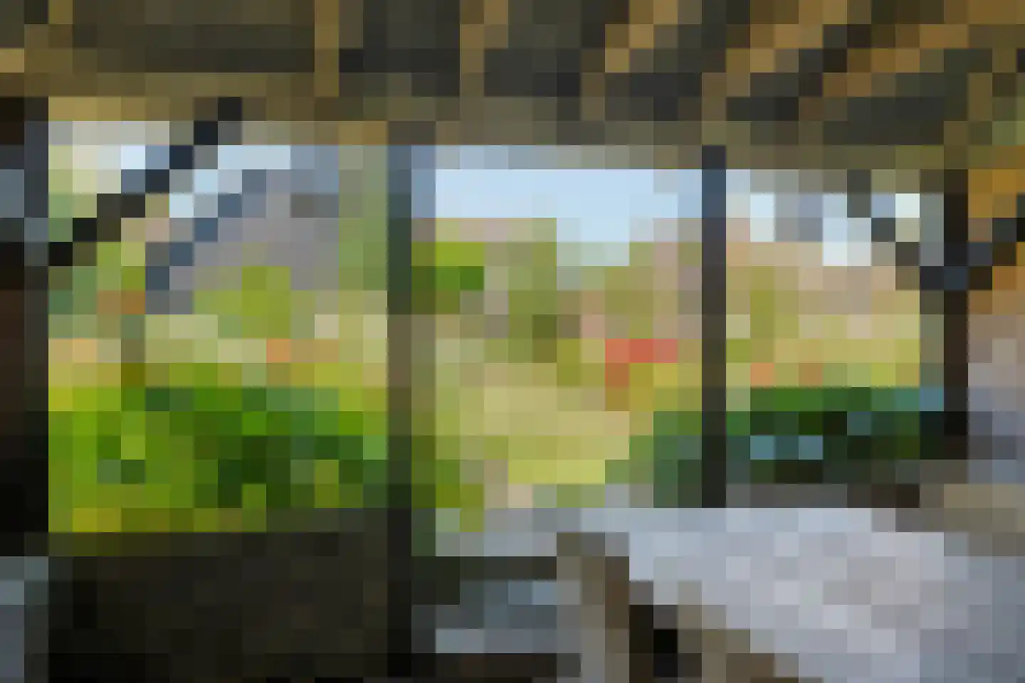 Posthoorn 8 Barger-Compascuum thumbnail 50