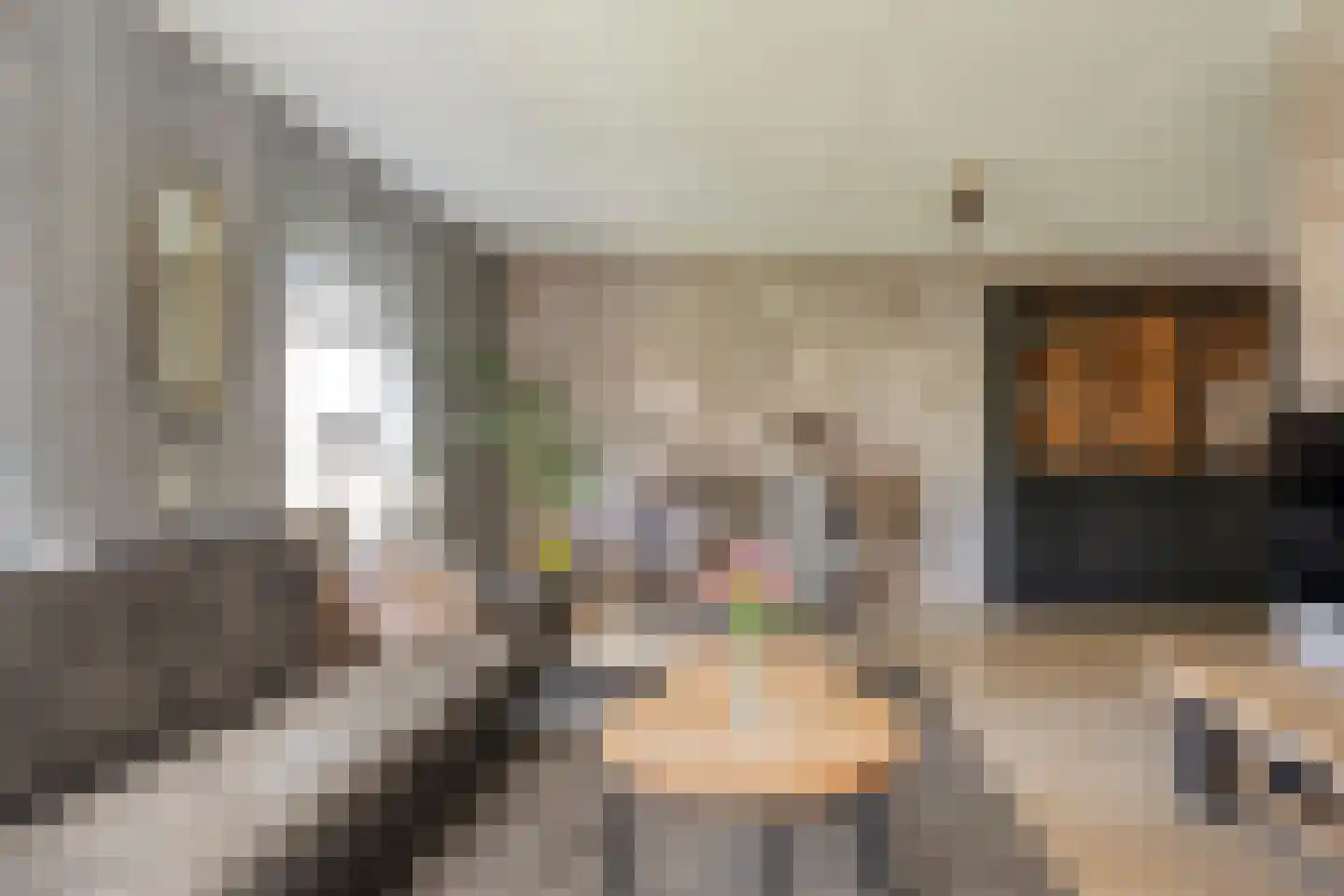 Posthoorn 8 Barger-Compascuum thumbnail 7