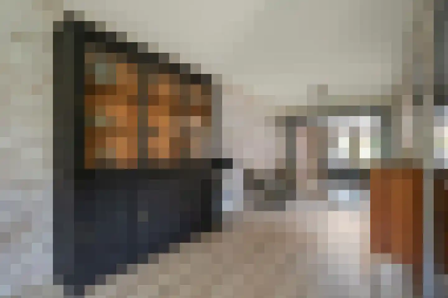 Posthoorn 8 Barger-Compascuum thumbnail 9