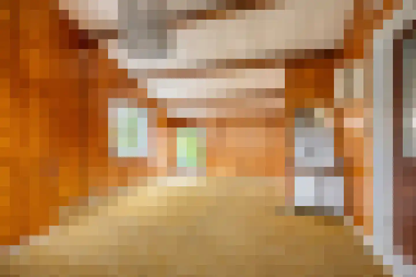 Posthoorn 8 Warmenhuizen thumbnail 15