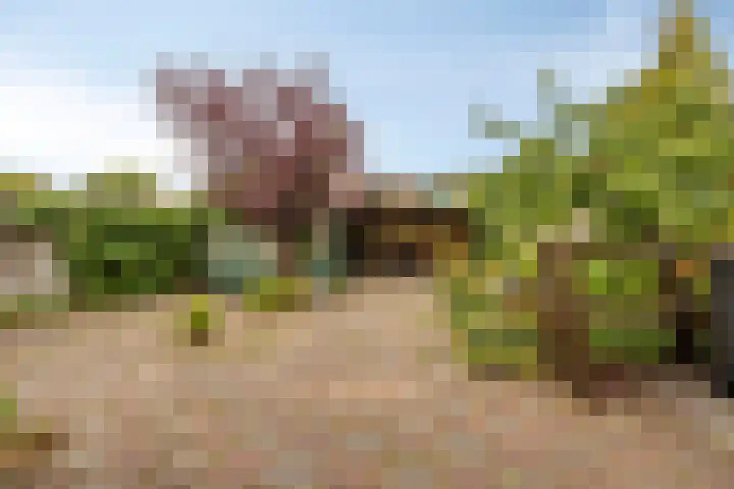 Posthoorn 8 Warmenhuizen thumbnail 23