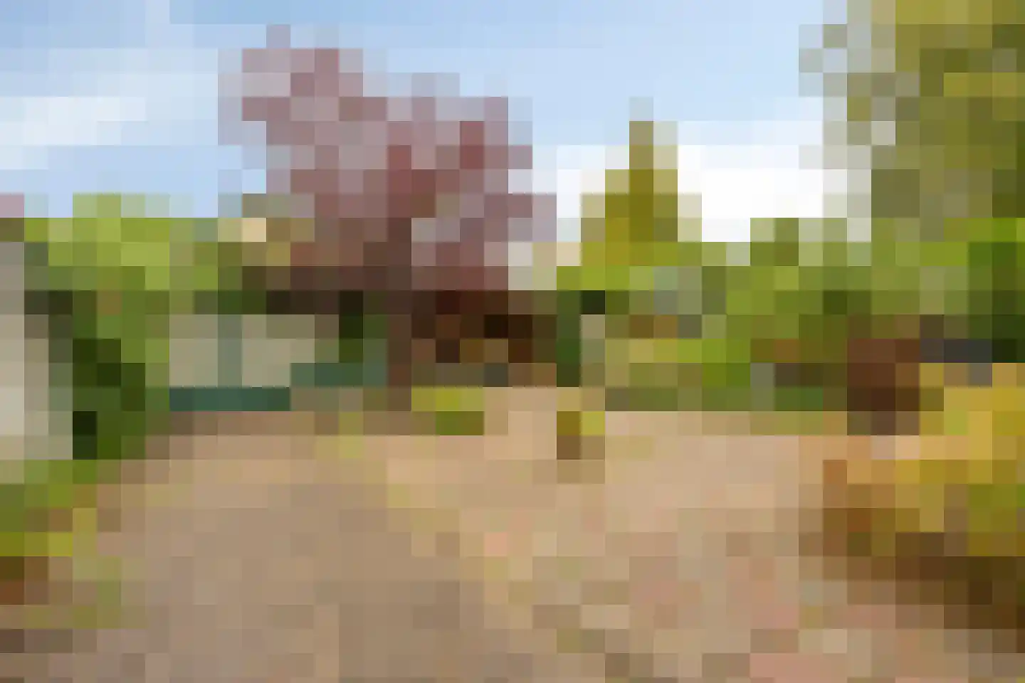 Posthoorn 8 Warmenhuizen thumbnail 24