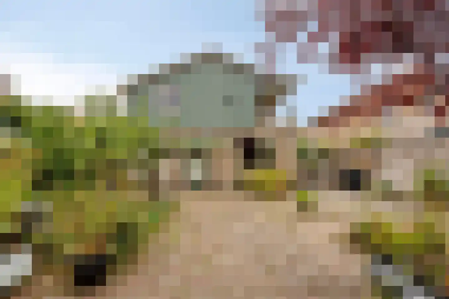 Posthoorn 8 Warmenhuizen thumbnail 25
