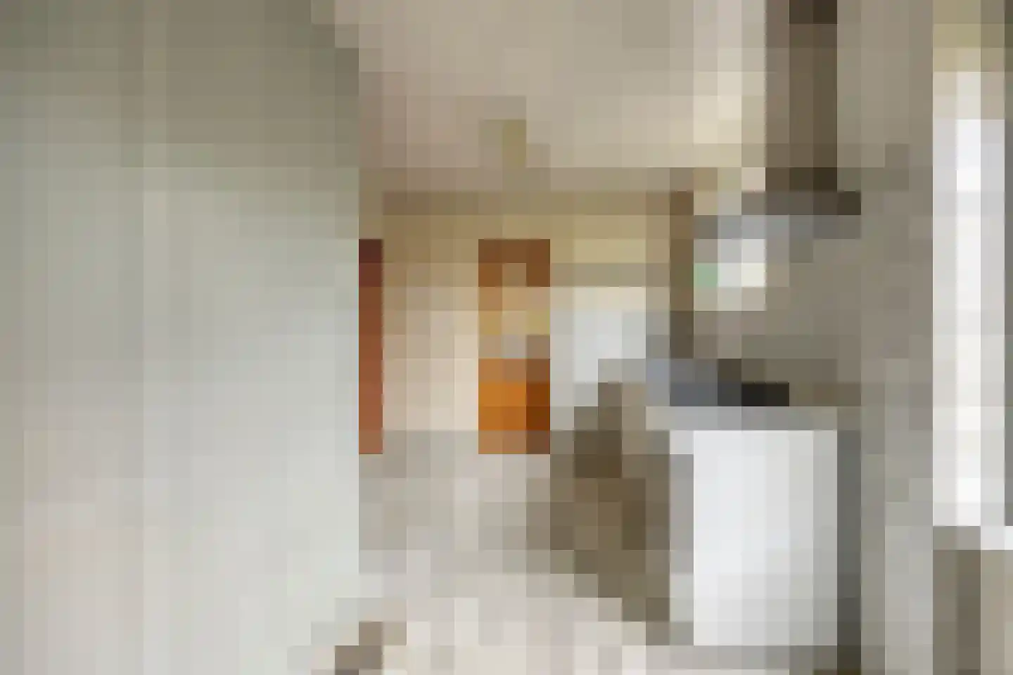 Posthoorn 8 Warmenhuizen thumbnail 9