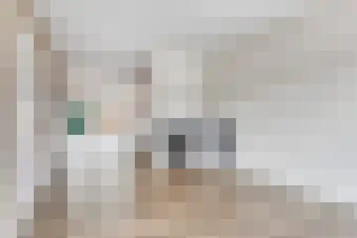 Posthoorn 9 Barger-Compascuum thumbnail 11