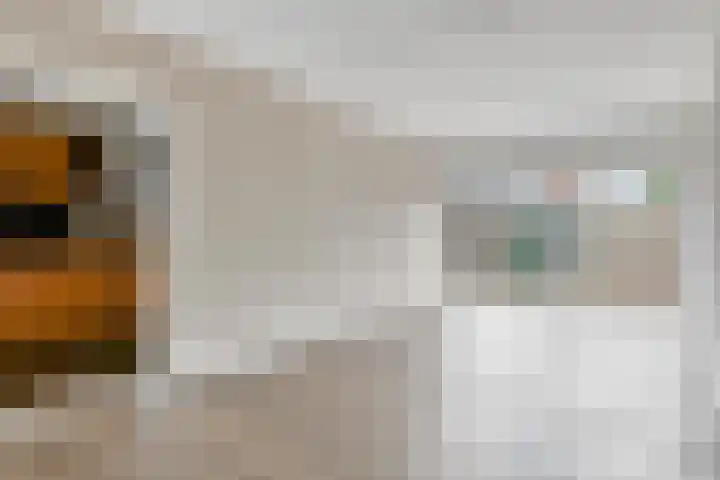 Posthoorn 9 Barger-Compascuum thumbnail 13