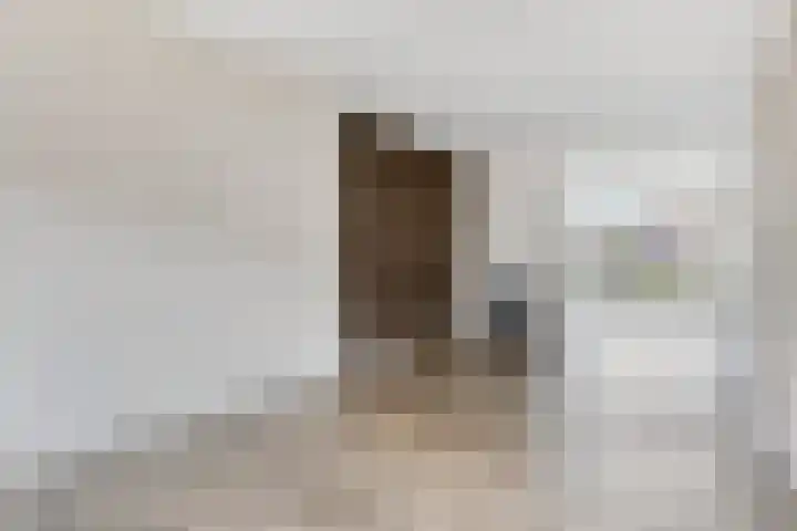 Posthoorn 9 Barger-Compascuum thumbnail 16