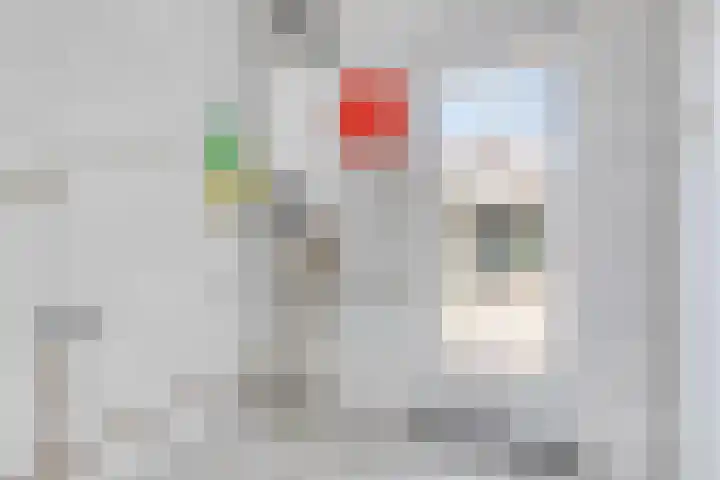 Posthoorn 9 Barger-Compascuum thumbnail 21
