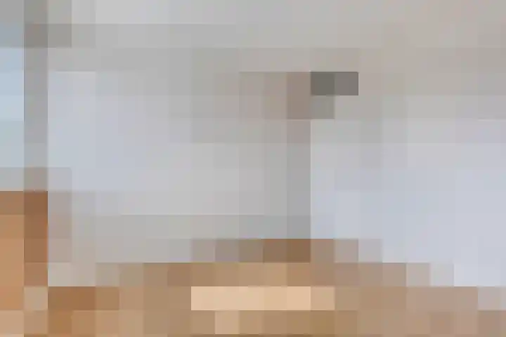 Posthoorn 9 Barger-Compascuum thumbnail 25