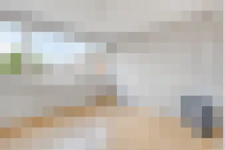 Posthoorn 9 Barger-Compascuum thumbnail 28