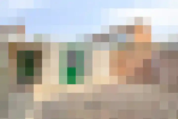Posthoorn 9 Barger-Compascuum thumbnail 35