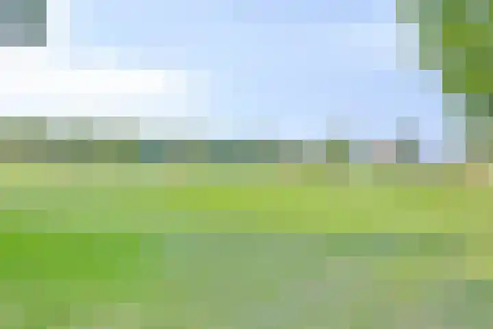 Posthoorn 9 Barger-Compascuum thumbnail 37